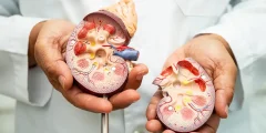 أسباب ظهور أكياس على الكلى