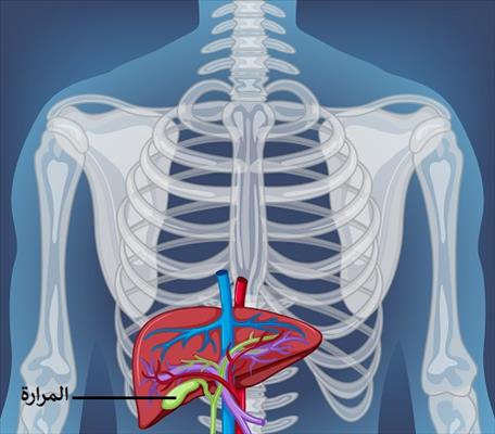 الفرق بين أعراض المرارة وجرثومة المعدة