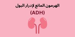 الهرمون المانع لإدرار البول
