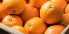 هل البرتقال يهيج القولون؟