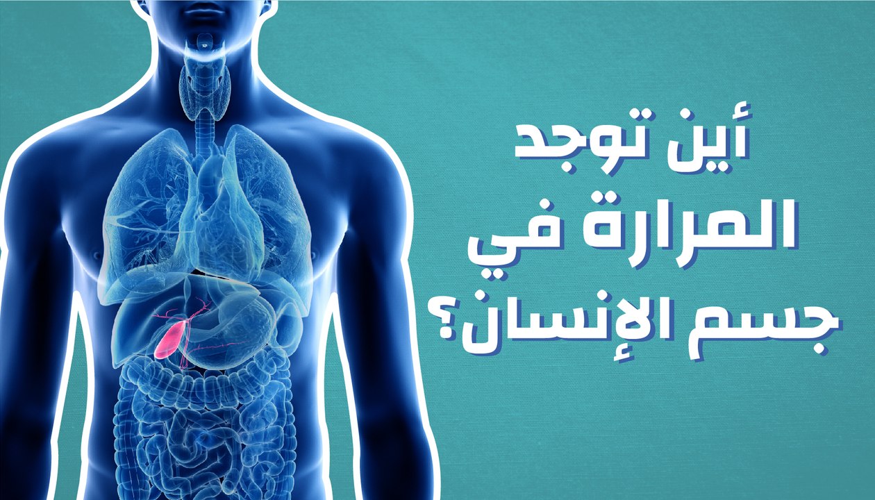 أين يقع مكان ألم المرارة في الجسم؟