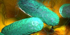 أعراض فيروس الورم الحليمي البشري (HPV) عند النساء