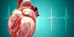 معلومات مهمة عن الرجفان الأذيني