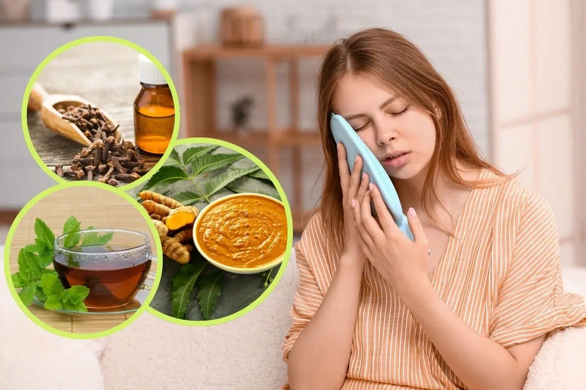 علاج التهاب عصب الأسنان بالأعشاب