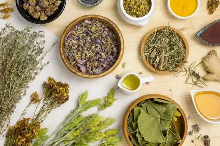 علاج ارتجاع المريء بالاعشاب