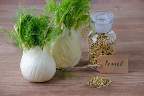 الأعشاب التي تساعد في التخلص من غازات البطن