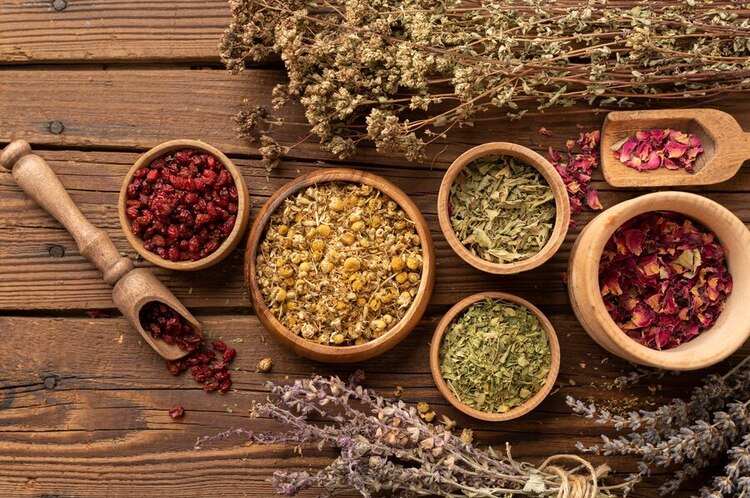 علاج حساسية الصدرية وضيق التنفس بالاعشاب