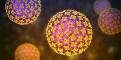 فايروس هانتا : الأعراض والأسباب والعلاج